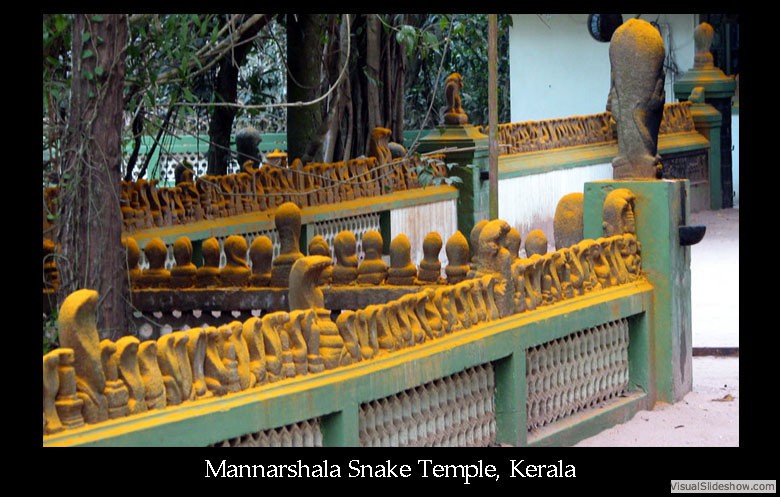 snake temple